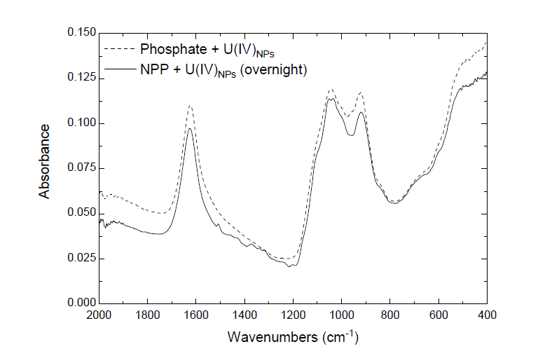 ATR-FTIR spectra of dried precipitates(reaction mixture, 100 % conversion): adsorbed phosphate species on the surface of U(IV) nanoparticles. [U(IV)NPs] = 1.5 mM, [Substrate] = 0.15 mM, I = 0.1 M NaClO4 at pH 7, 25 °C, 24 h