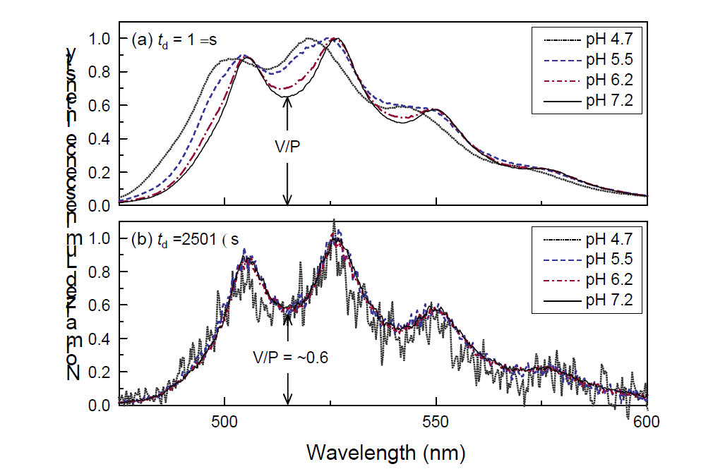 Normalized luminescence spectra of U(VI) adsorbed onto the high SSA silica samples (powder No. 1) under various pH conditions. The spectra were measured at td = 1 μs and 2501 μs with the same gate width of 1000 μs. (a) The change of the V/P intensity ratio indicates the overlap of the spectra between the short- and long-lived U(VI) surface species. (b) Almost identical spectral shapes show a V/P intensity ratio of approximately 0.6 for the high SSA silica samples