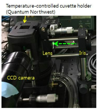 LIBD set-up for monitoring colloidal nanoparticles at a fixed temperature