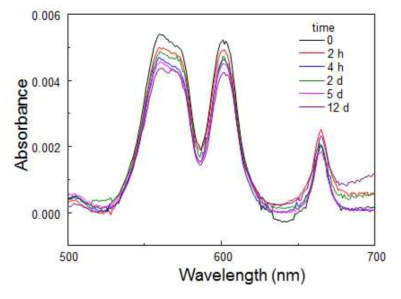 Absorption spectra of a Pu sample at pH 6.16 ([Pu]=0.165 mM) as a function of time