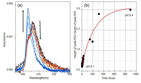 (a) Time-dependent absorption spectral change of 9 μM Am(III) sample under a pH 8.1 condition. Absorbance was measured with 1 cm quartz cell. (b) absorbance ratio change of 503 nm to 506 nm as a function of time. pH of the sample was also changed along with the spectral change