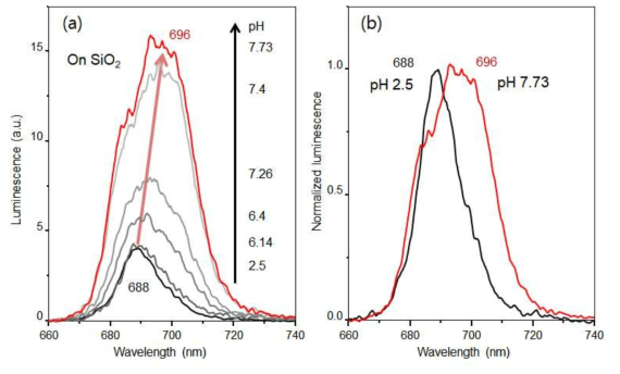 (a) Luminescence spectral change of Am(III) as increasing adsorption ratio onto silica surface. (b) Normalized luminescence spectra of Am(III) at pH 2.5 (0% adsorption) and pH 7.73 (100 % adsorption)