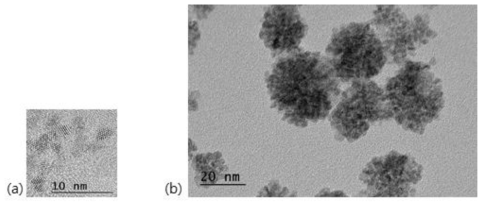 TEM images of U(IV) primary nanoparticles (a) and U(IV) nanoparticle clusters