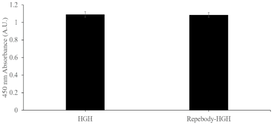 리피바디-HGH 접합체의 HGH 수용체에 대한 결합력