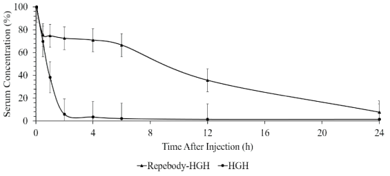리피바디-HGH 접합체-인간 혈장 알부민 결합체의 혈액 내 순환시간