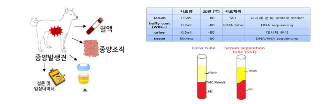 종양 발생견에서 확보한 생체시료 및 데이터(좌측), 시료 필요량 및 보관 방법(우측)