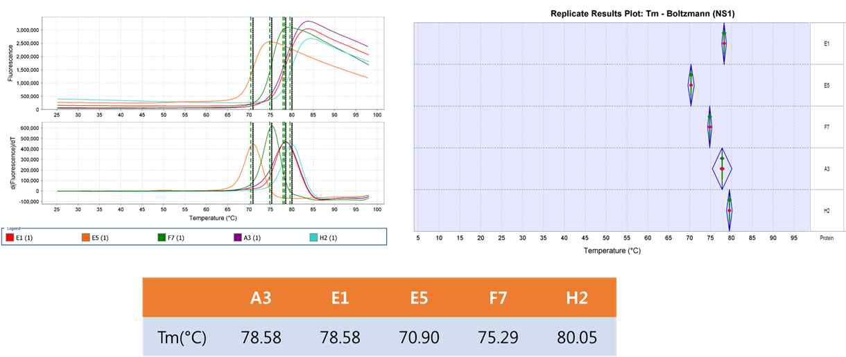 Thermal stability analsysis of 5 Fabs by protein thermal shift (PTS) assay. Tm, melting temperature (℃)