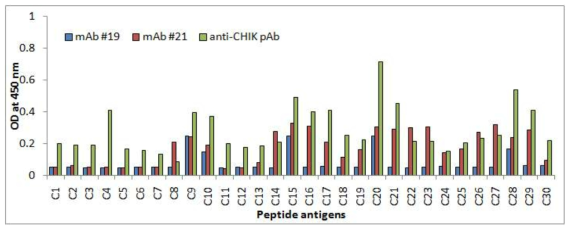 CHIKV E2 peptides와 mAb의 반응성 비교