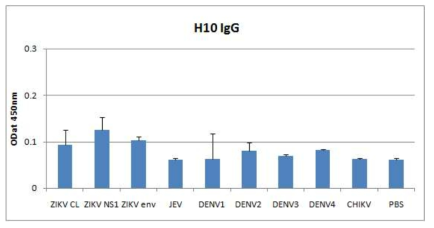 anti-ZIKV Fab H10-IgG의 교차반응