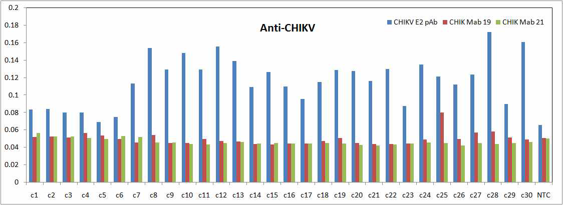 CHIKV-E2에 대한 다클론 항체 및 Fab 항체와의 반응성