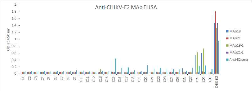 CHIKV 펩타이드 및 CHIKV-E2 단백질에 대한 단클론 항체의 반응성