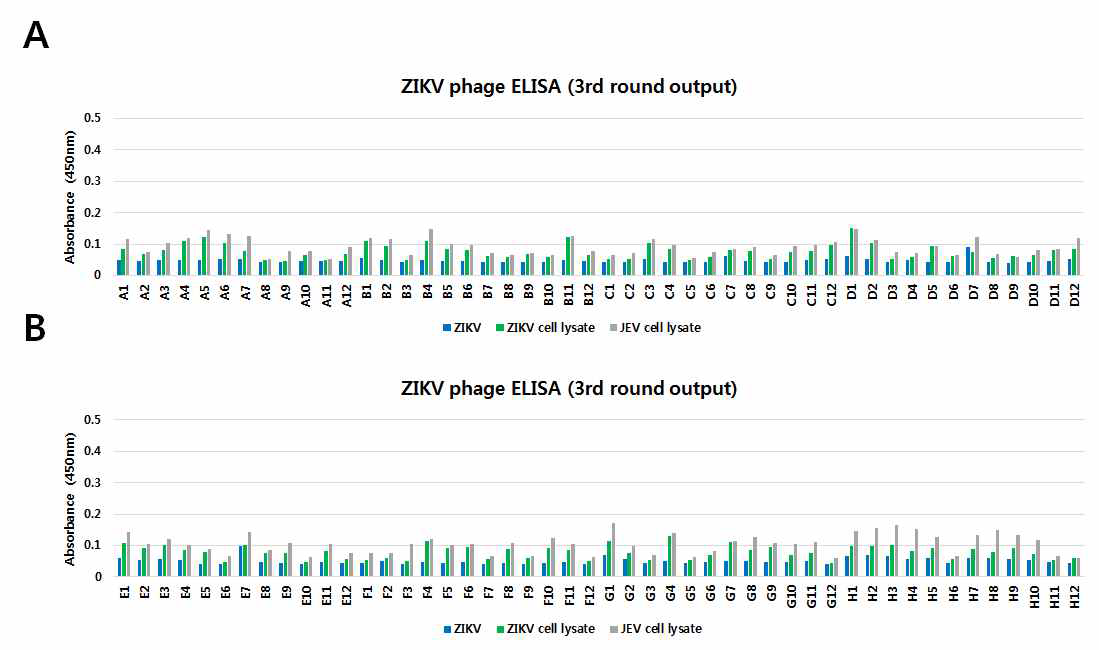 Monoclonal phage ELISA. ELISA screening using the third round output of panning