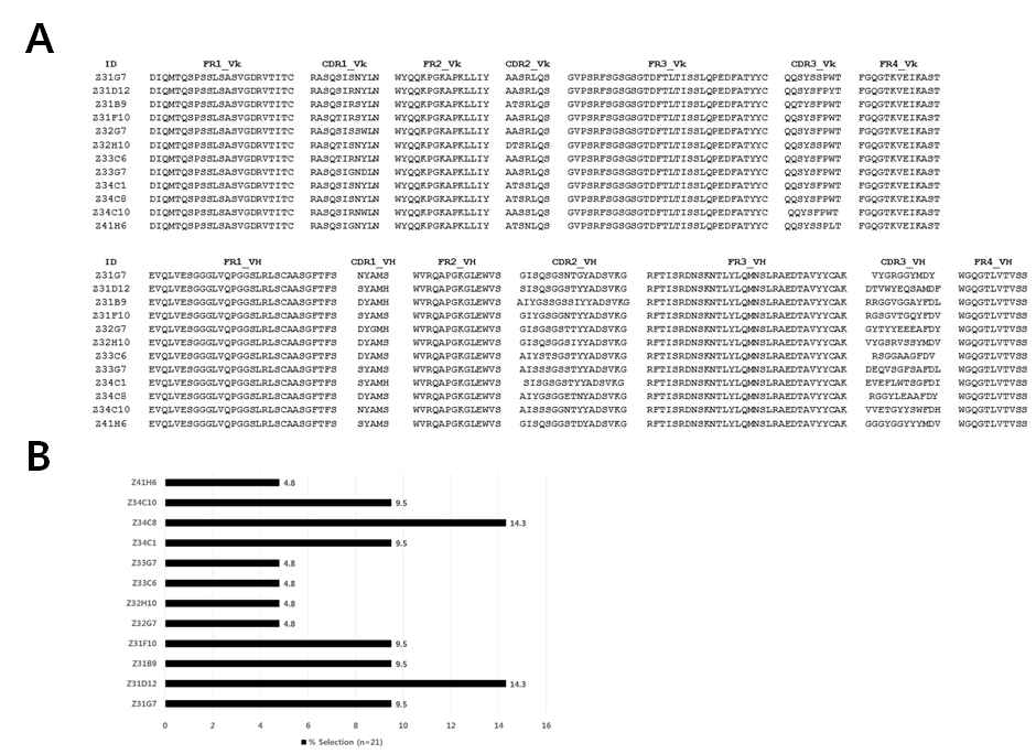 Sequence alignment of selected unique anti-ZIKV Fab clones (Kabat). (A) Amino acid sequences of the 12 Fab clones, and (B) their clonal selection frequency (%)