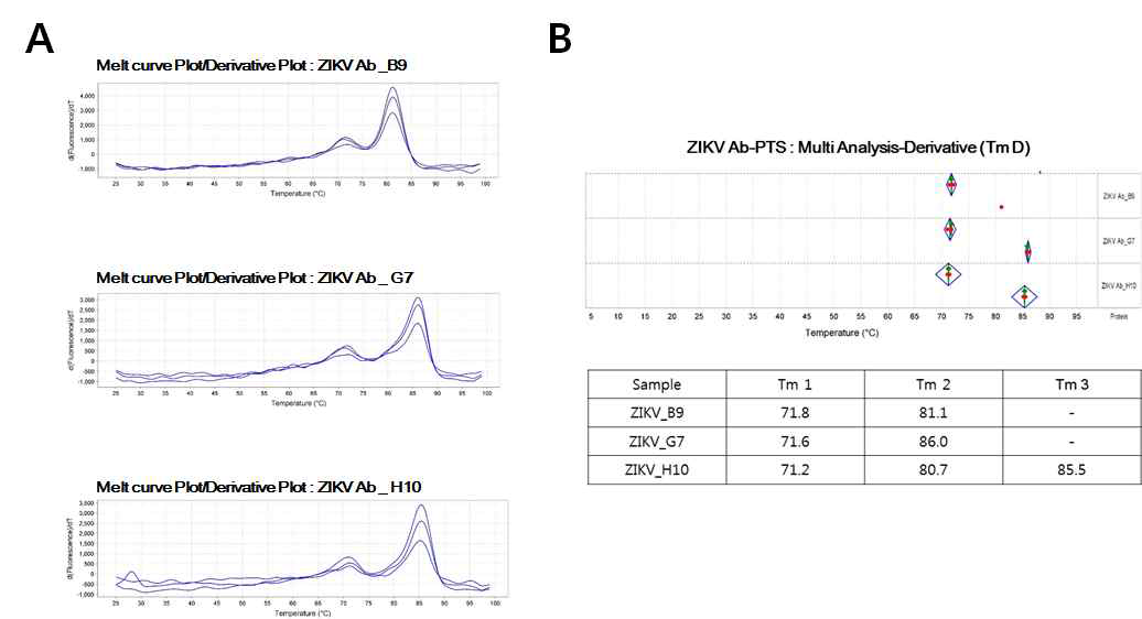 PTS analysis of anti-ZIKV IgGs. (A) Melt curves of anti-ZIKV B9, anti-ZIKV G7, and anti-ZIKV H10 (top to bottom), and (B) Tm (℃) determination of each IgG using multi analysis-derivatives