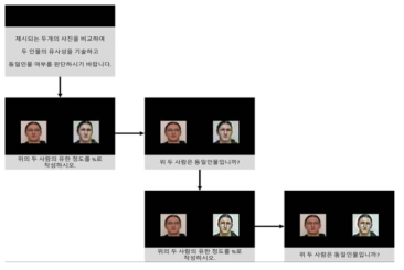 실험 진행과정