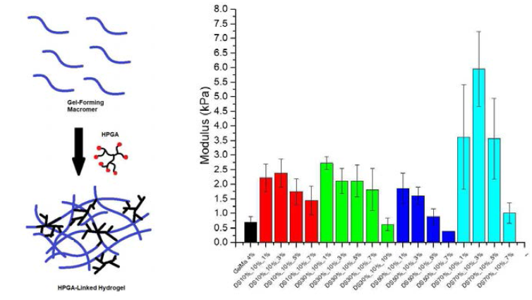 HPGA의 DS 및 농도를 변화하여 다양한 기계적 물성을 보유한 하이드로젤 제작