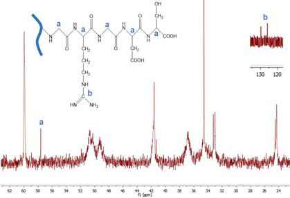 Polyaspartamide에 세포인식 가능한 RGD 펩타이드 부착함 (NMR 검증)