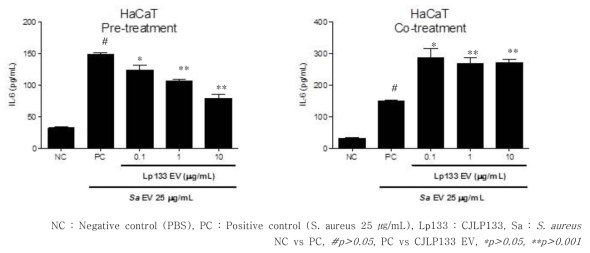 황색포도상구균 (S. aureus) 유래소포에 의한 피부상피세포에서 IL-6의 분비에 미치는 유산균 (CJLP133) 유래소포의 영향 평가 (좌측그림: 유산균 유래소포 전처리, 우측그림: 유산균 유래소포와 포도상구균 유래소포 동시처리)