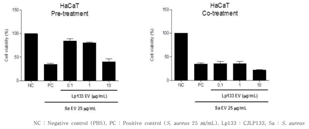 황색포도상구균 (S. aureus) 유래소포에 의한 피부상피세포의 사멸에 유산균 (CJLP133) 유래소포의 영향 평가 (왼쪽 그림: 유산균 유래소포 전처리, 오른쪽 그림: 유산균 유래소포와 포도상구균 유래소포 동시처리)