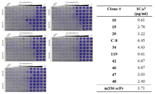 60종 항체 클론의 MERS-CoV 중화능 평가 및 유효 항체 재검증