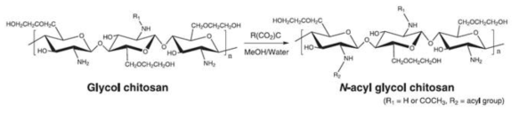 N-아실 글리콜 키토산의 합성 과정