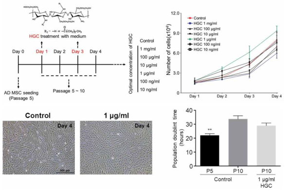 농도 별 HGC 처리하였을 때의 성장곡선 및 population doubling time