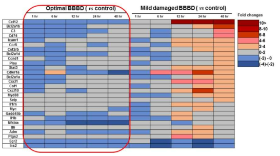 유전체 분석을 통한 optimal BBBD 조건에 대한 생물학적 안정성 확인