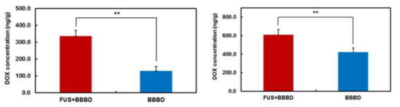 Doxorubicin 약물전달 정량화 (좌) Normal rat (우) Brain tumor model