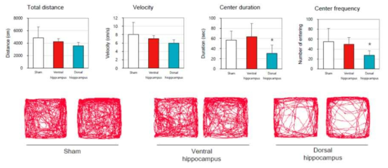 대조군과 Dorsal hippocampus, Ventral hippocampus BBB 개통 그룹에서 Open field test 결과