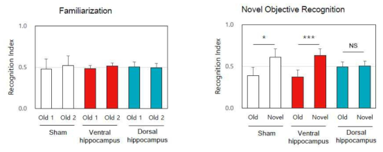 대조군과 Dorsal hippocampus, Ventral hippocampus BBB 개통 그룹에서 Novel objective recognition test 결과