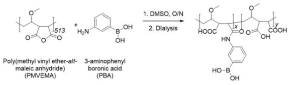 Poly(maleic anhydride) 기반의 고분자화된 PBA를 합성하는 전략
