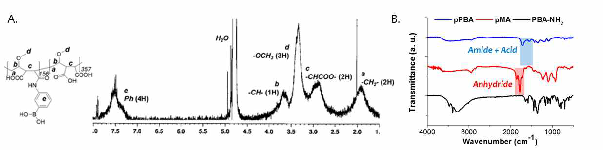 합성된 pPBA의 1H-NMR 및 FT-IR 분석 결과