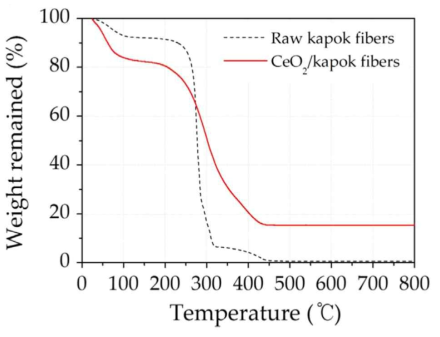 천연 케이폭(점선)의 TGA 곡선 그래프