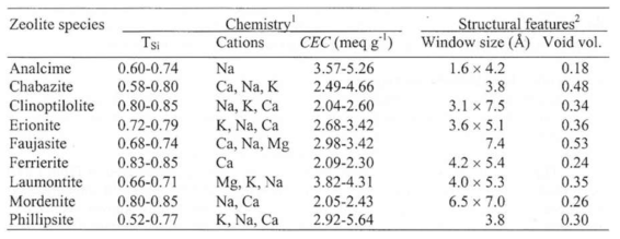 제올라이트의 종류에 따른 구조적 특성
