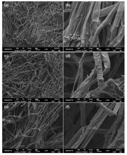 초음파 2차 실험 결과 SEM 사진. (a,b) 1A 시료 결과. (c,d) 1B 시료 결과. (e,f) 1C 시료 결과