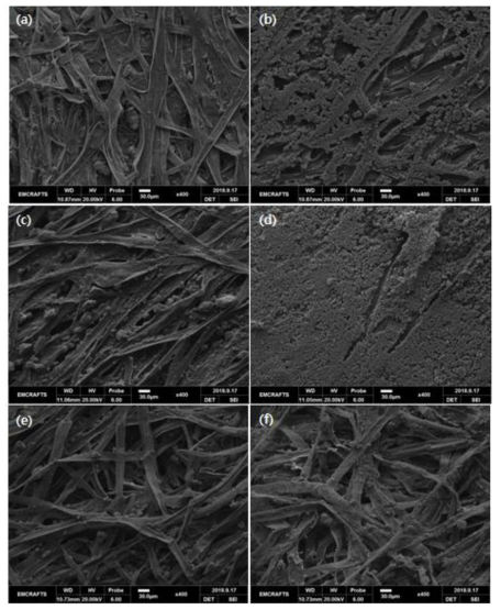 제작 직후 3A의 (a) 윗면, (b) 밑면 표면 SEM 이미지. 제작 직후 3B의 (c) 윗면, (d) 밑면 표면 SEM 이미지. 제작 직후 3C의 (e) 윗면, (f) 밑면 표면 SEM 이미지