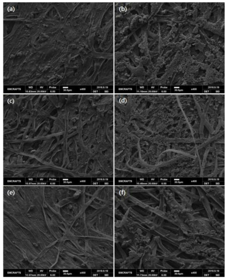 초음파 처리 후 3A의 (a) 윗면, (b) 밑면 표면 SEM 이미지. 초음파 처리 후 3B의 (c) 윗면, (d) 밑면 표면 SEM 이미지. 초음파 처리 후 3C의 (e) 윗면, (f) 밑면 표면 SEM 이미지
