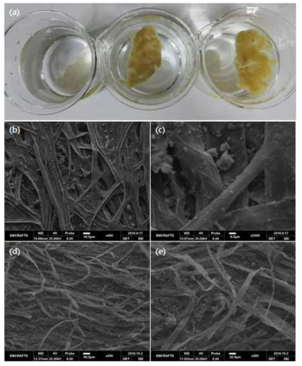 (a) (좌측) NaOH 친수성 처리 후 제올라이트 처리 (중간, 우측) NaOH 친수성 처리와 제올라이트 처리를 동시에 진행. (b-c) (좌측) 시료 제작 직후 표면 SEM 이미지. (d-e) 6일 동안 물에 넣어둔 (좌측) 시료의 내부 단면 SEM 이미지