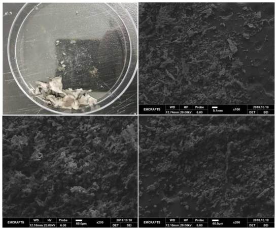케이폭 연소 실험 후 남은 잔여 케이폭 사진 및 SEM 사진