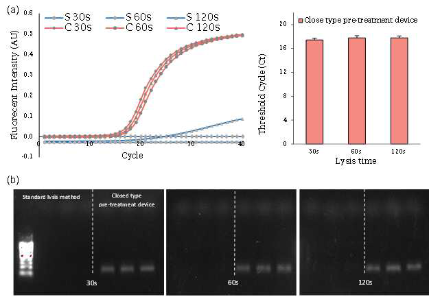 밀폐형 객담 전처리 기기를 이용한 Mycobacterium fortuitum의 PCR 결과