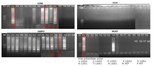 바이러스 4종의 primer 농도 최적화(NEB kit)