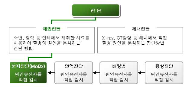 급성호흡기 감염병 진단의 분류