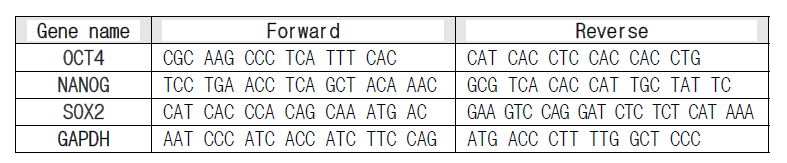 본 연구에서 분석된 유전자 프라이머 서열
