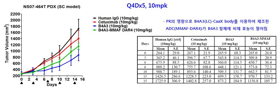 환자유래 세포주를 이용한 PDX 동물모델을 이용한 효능 평가 결과