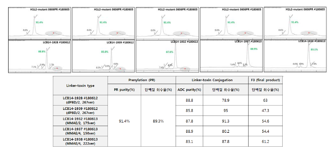 anti-EGFRvIII ADC 5종 제조 및 반응성/회수율 분석 결과