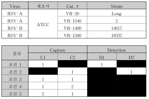 RSV 항원 및 Capture, Detection Ab 정보
