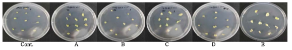 Effects of concentration and the type of plant growth regulator on callus and root formation from leaf explants of Hedyotis diffusa after 10 days dark culture