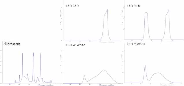 Spectral characteristics of light used in this study