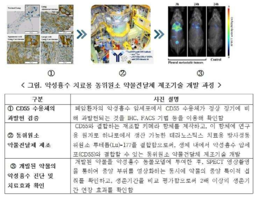 동위원소 약물전달체 활용 악성흉수 치료기술 연구 사진