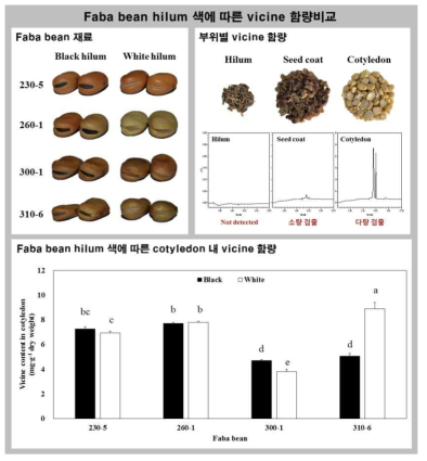 Changes of the vicine content according to different hilum color